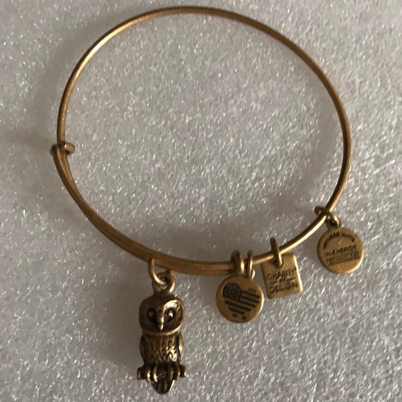 Alex and Ani Expandable Wire Bracelet - Picture 1 of 7